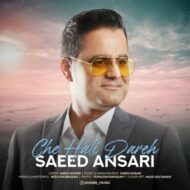 دانلود آهنگ چه حالی داره سعید انصاری